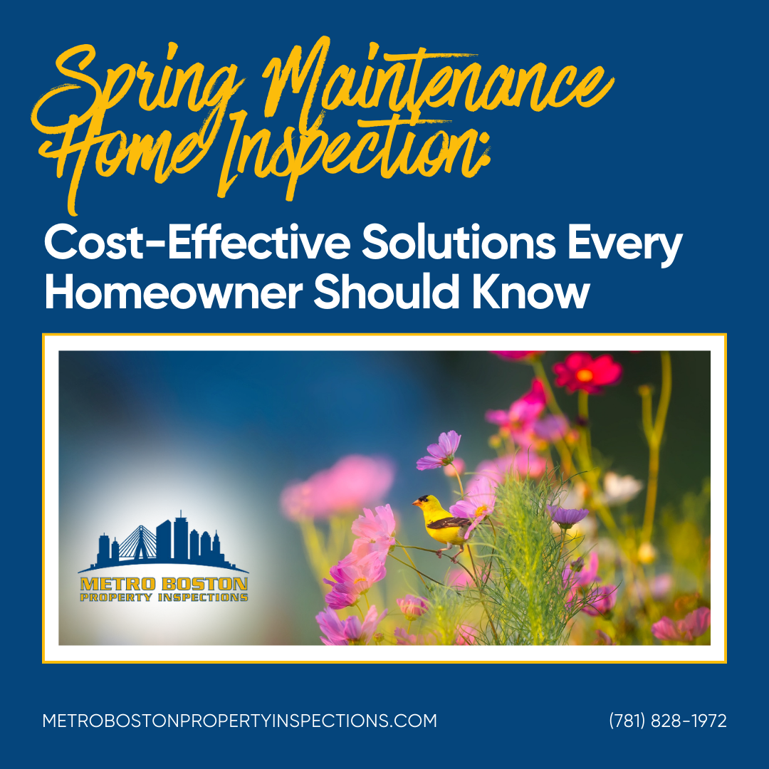 Spring Maintenance Home Inspection: Cost-Effective Solutions Every Homeowner Should Know