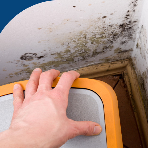 Black mold and moisture damage in a corner behind furniture, indicating poor ventilation and water intrusion.