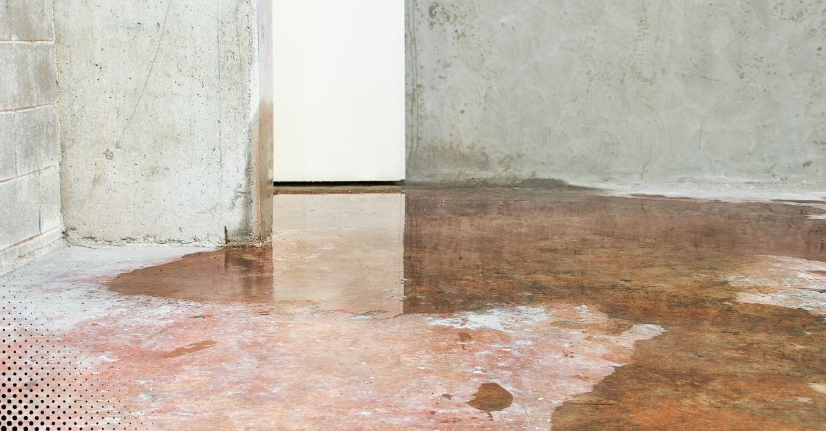 Basement water intrusion near foundation wall