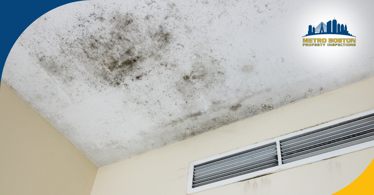 Ceiling mold growth from moisture intrusion