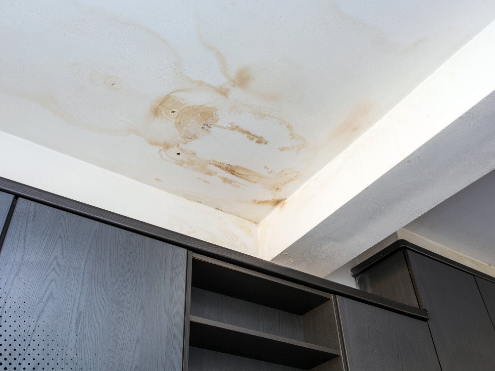 Ceiling water stains indicative of roof or plumbing issues.